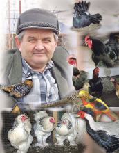 Коваль1.jpg Коваль1.jpg