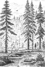 000194.jpg 000194.jpg